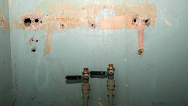 Best Ceiling water damage repair  in Redwood City, CA